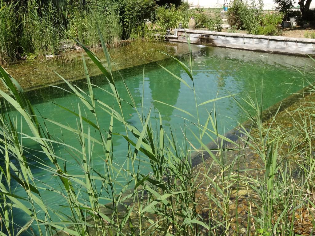 Jardin De Canaan Saint-Julien-de-Chédon Εξωτερικό φωτογραφία
